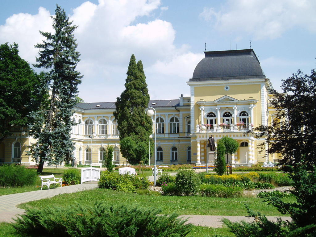 Dr. Adler Spa & Kurhotel Františkovy Lázně Екстериор снимка